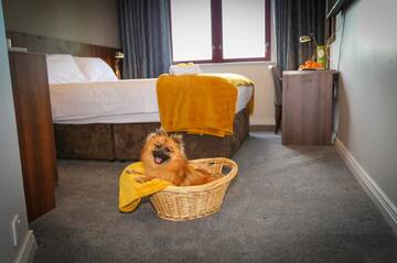 Фото номера Улучшенный двухместный номер с 1 кроватью Отель Creggan Court Hotel г. Атлон 4